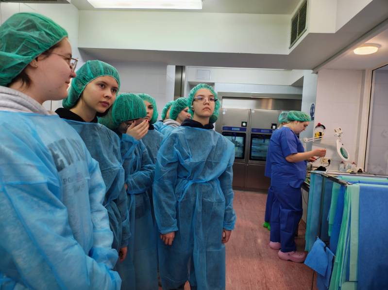 -3979169735856556303