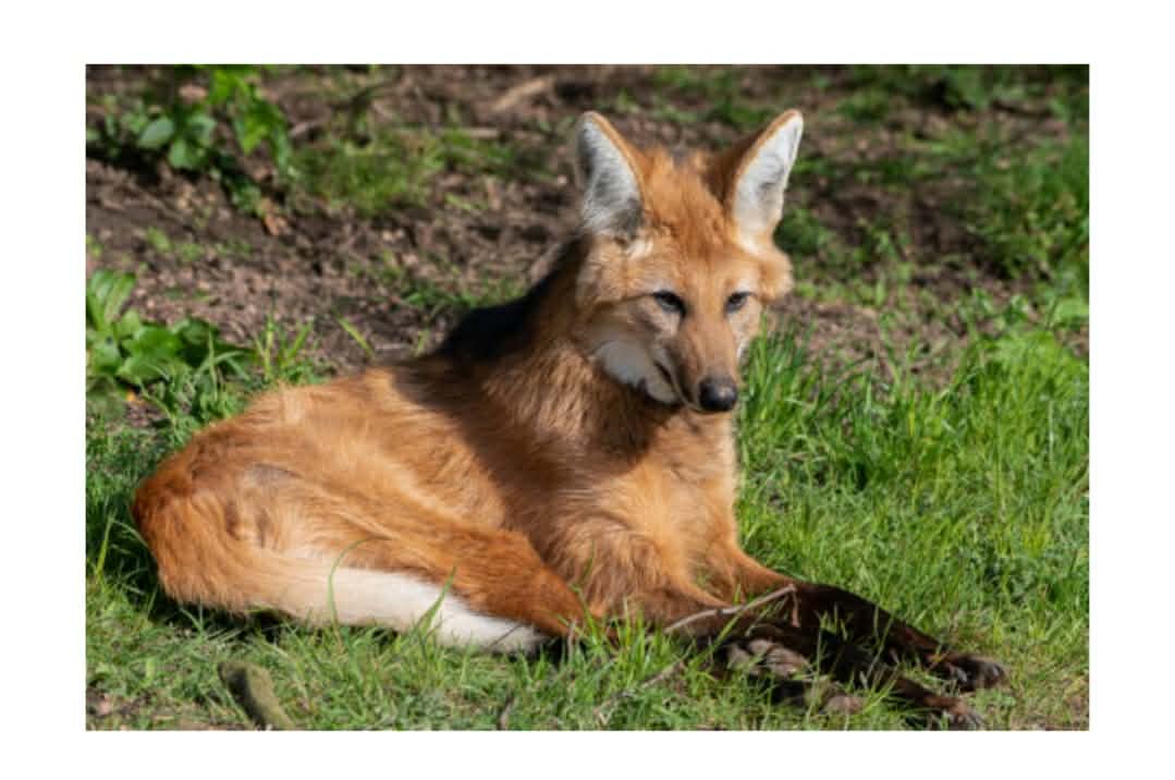 6cdb88e7-cece-441e-adca-3b73c64bfa6c